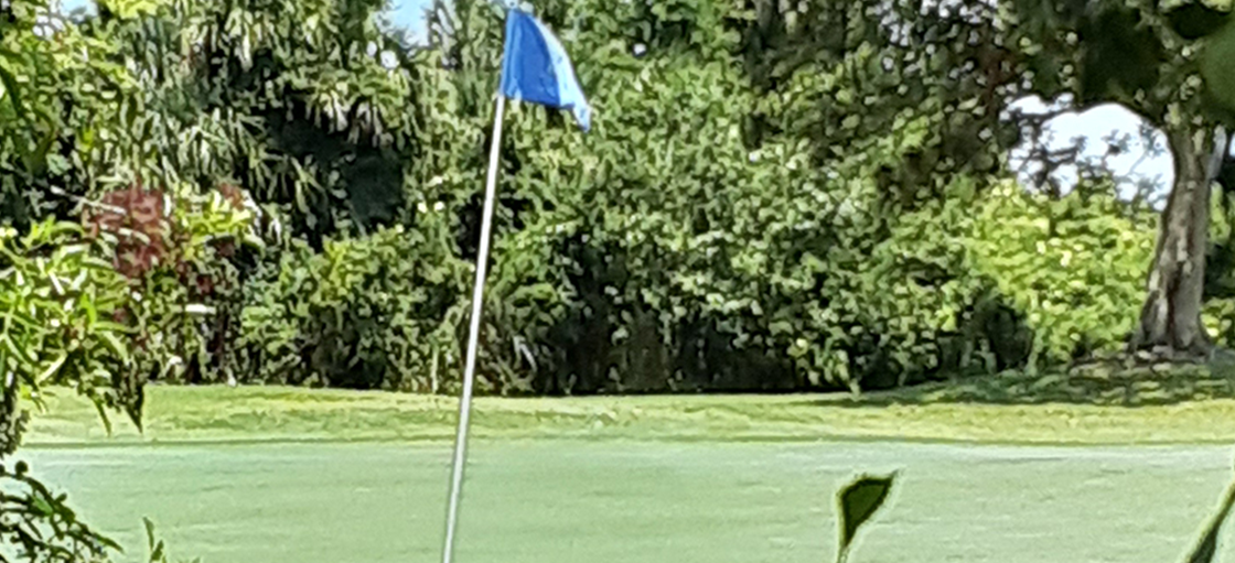 Best Navy Golf Windy Harbor Golf Club