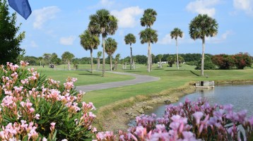 golf course flowers